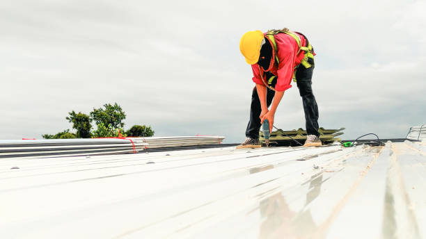 Best 4 Ply Roofing  in Pulaski, WI